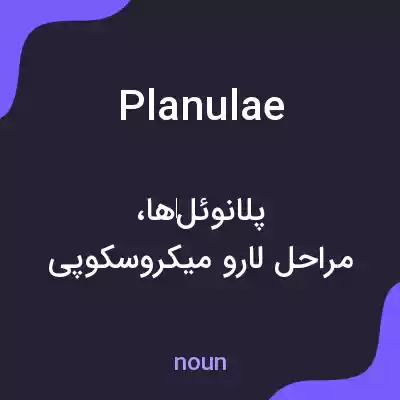 معنی planulae به فارسی معنی planulae به فارسی