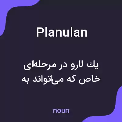 معنی planulan به فارسی معنی planulan به فارسی