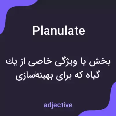 معنی planulate به فارسی