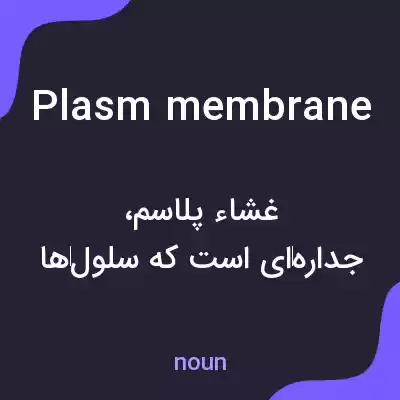 معنی plasm membrane به فارسی معنی plasm membrane به فارسی