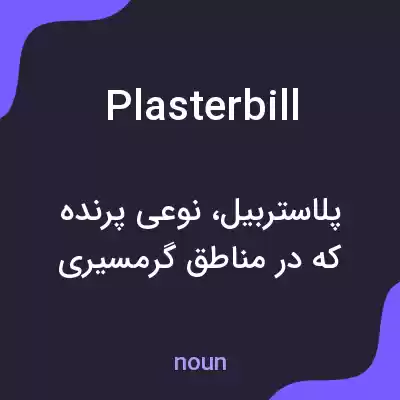معنی plasterbill به فارسی معنی plasterbill به فارسی