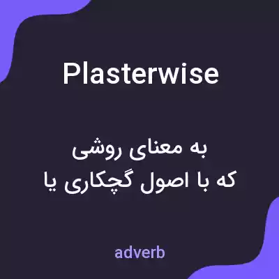 معنی plasterwise به فارسی معنی plasterwise به فارسی