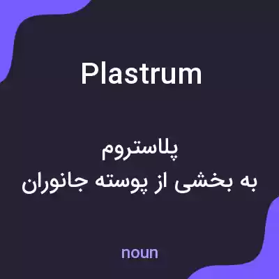 معنی plastrum به فارسی معنی plastrum به فارسی
