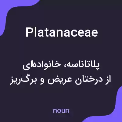 معنی platanaceae به فارسی معنی platanaceae به فارسی