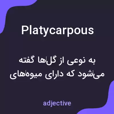 معنی platycarpous به فارسی معنی platycarpous به فارسی