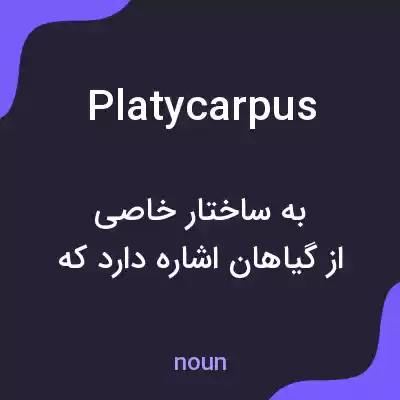 معنی platycarpus به فارسی