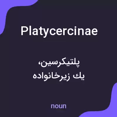 معنی platycercinae به فارسی معنی platycercinae به فارسی