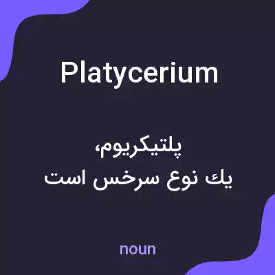 معنی platycerium به فارسی معنی platycerium به فارسی