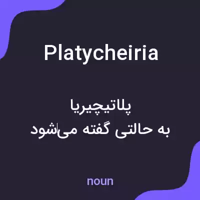 معنی platycheiria به فارسی معنی platycheiria به فارسی