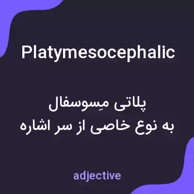 معنی platymesocephalic به فارسی معنی platymesocephalic به فارسی