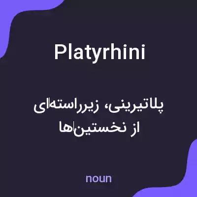معنی platyrhini به فارسی معنی platyrhini به فارسی