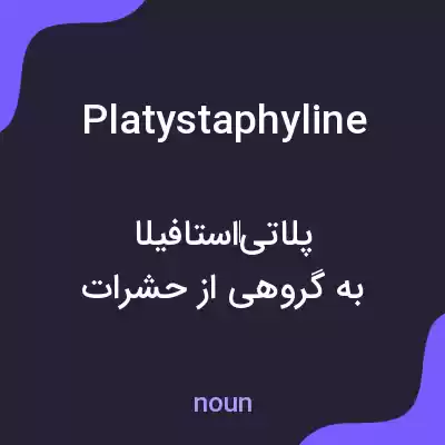 معنی platystaphyline به فارسی معنی platystaphyline به فارسی