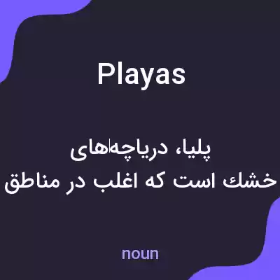 معنی playas به فارسی معنی playas به فارسی