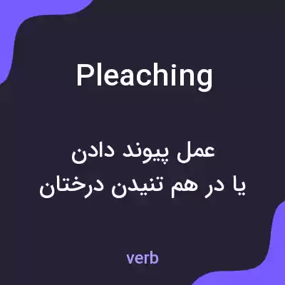 معنی pleaching به فارسی معنی pleaching به فارسی