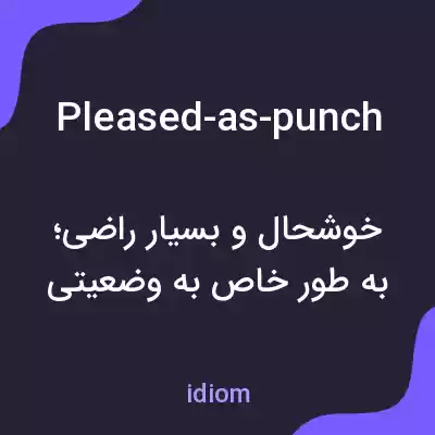 معنی pleased-as-punch به فارسی