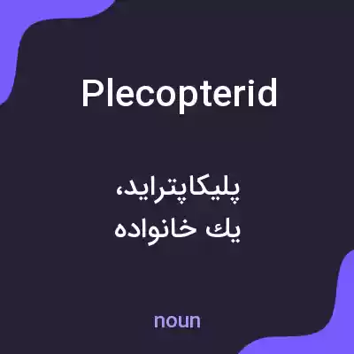 معنی plecopterid به فارسی معنی plecopterid به فارسی