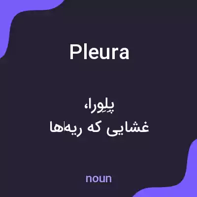 معنی pleura به فارسی معنی pleura به فارسی