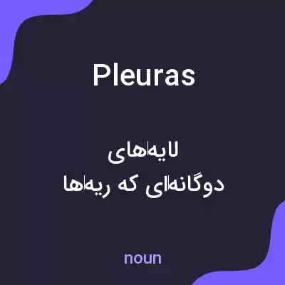 معنی pleuras به فارسی معنی pleuras به فارسی