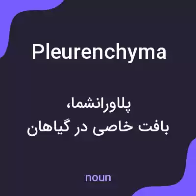 معنی pleurenchyma به فارسی معنی pleurenchyma به فارسی