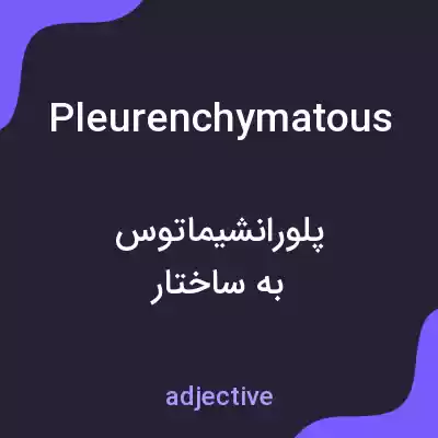 معنی pleurenchymatous به فارسی معنی pleurenchymatous به فارسی