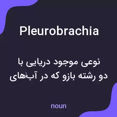 معنی pleurobrachia به فارسی معنی pleurobrachia به فارسی