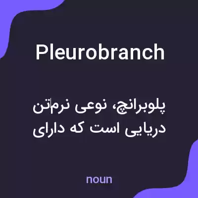 معنی pleurobranch به فارسی معنی pleurobranch به فارسی