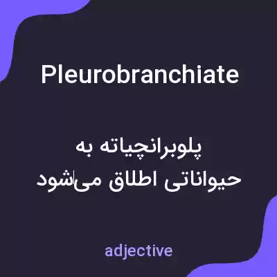 معنی pleurobranchiate به فارسی معنی pleurobranchiate به فارسی