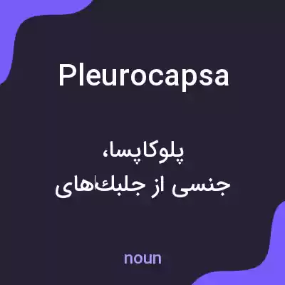 معنی pleurocapsa به فارسی