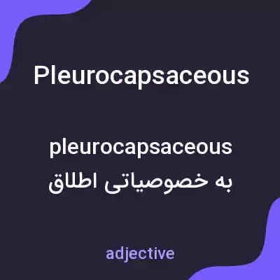 معنی pleurocapsaceous به فارسی معنی pleurocapsaceous به فارسی