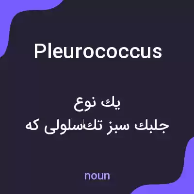 معنی pleurococcus به فارسی معنی pleurococcus به فارسی