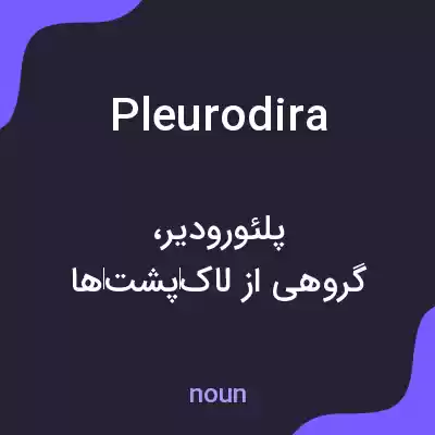 معنی pleurodira به فارسی معنی pleurodira به فارسی