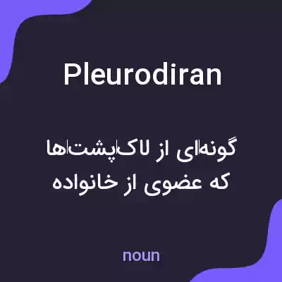 معنی pleurodiran به فارسی معنی pleurodiran به فارسی