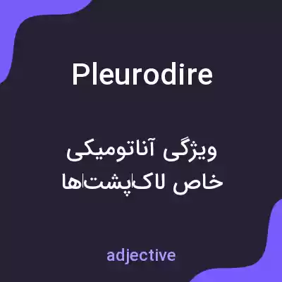 معنی pleurodire به فارسی معنی pleurodire به فارسی