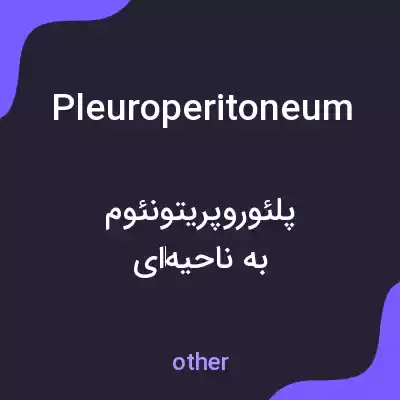 معنی pleuroperitoneum به فارسی معنی pleuroperitoneum به فارسی