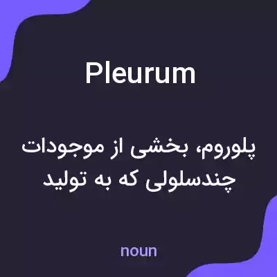 معنی pleurum به فارسی معنی pleurum به فارسی
