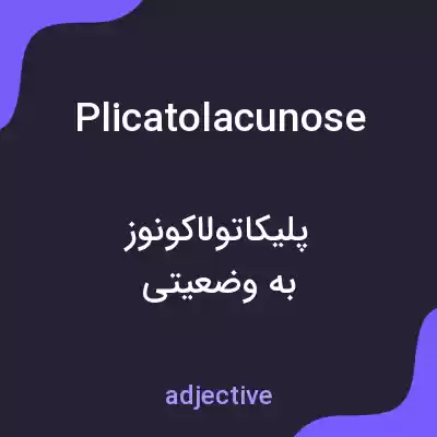 معنی plicatolacunose به فارسی معنی plicatolacunose به فارسی