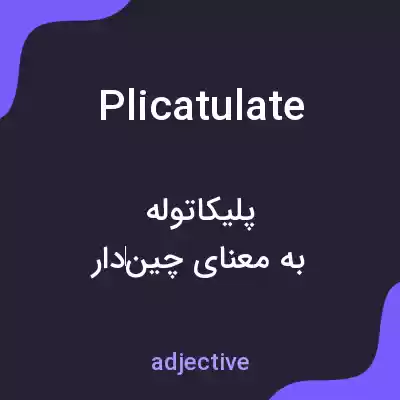 معنی plicatulate به فارسی معنی plicatulate به فارسی