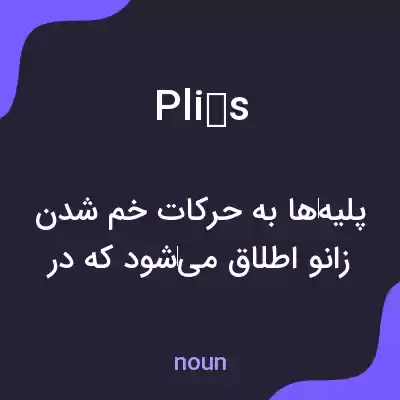 معنی pliés به فارسی معنی pliés به فارسی