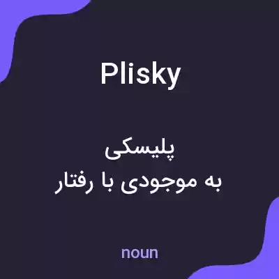 معنی plisky به فارسی معنی plisky به فارسی