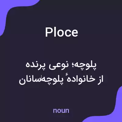 معنی ploce به فارسی معنی ploce به فارسی