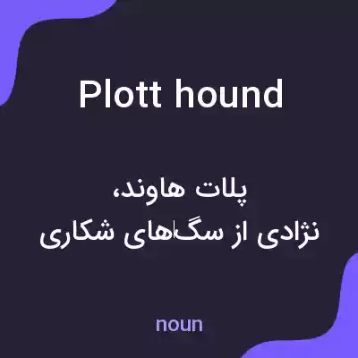 معنی plott hound به فارسی معنی plott hound به فارسی