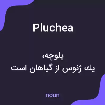 معنی pluchea به فارسی معنی pluchea به فارسی