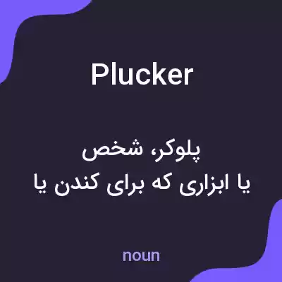 معنی plucker به فارسی معنی plucker به فارسی
