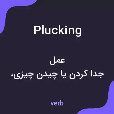 معنی plucking به فارسی معنی plucking به فارسی