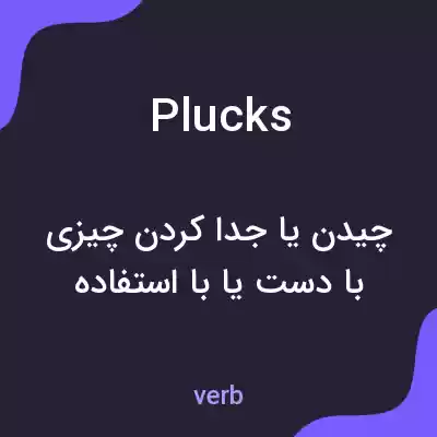 معنی plucks به فارسی معنی plucks به فارسی