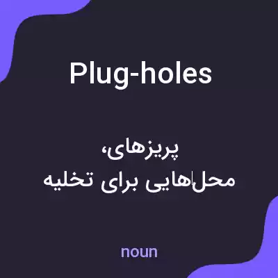 معنی plug-holes به فارسی