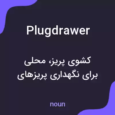معنی plugdrawer به فارسی معنی plugdrawer به فارسی