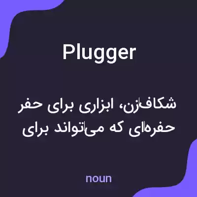 معنی plugger به فارسی معنی plugger به فارسی