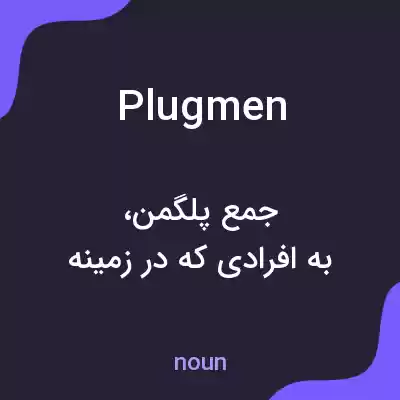 معنی plugmen به فارسی معنی plugmen به فارسی
