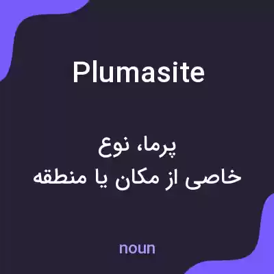 معنی plumasite به فارسی معنی plumasite به فارسی